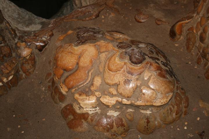 2012-05 Villecroze 018.JPG